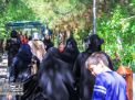 گزارش تصویری | همایش پیاده روی خانوادگی در پردیس معدن آموزشی 